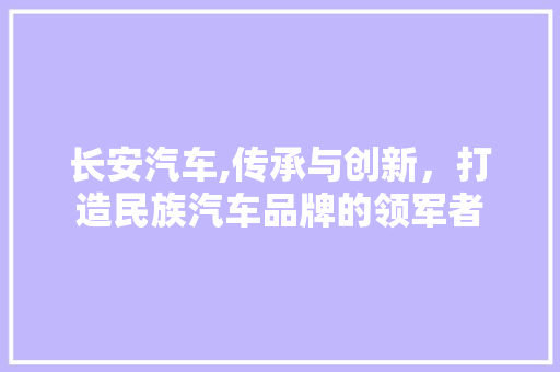 长安汽车,传承与创新，打造民族汽车品牌的领军者