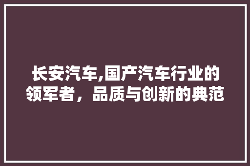 长安汽车,国产汽车行业的领军者，品质与创新的典范