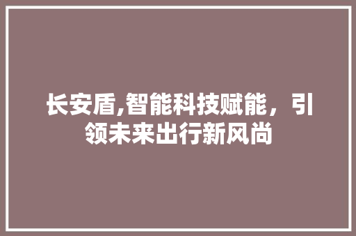 长安盾,智能科技赋能，引领未来出行新风尚
