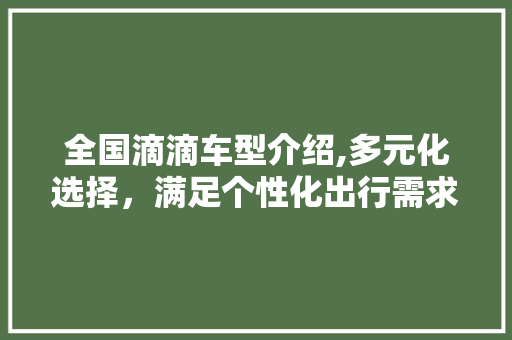 全国滴滴车型介绍,多元化选择，满足个性化出行需求