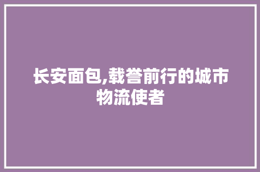 长安面包,载誉前行的城市物流使者