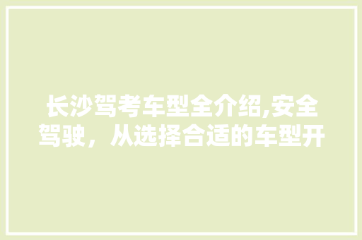 长沙驾考车型全介绍,安全驾驶，从选择合适的车型开始