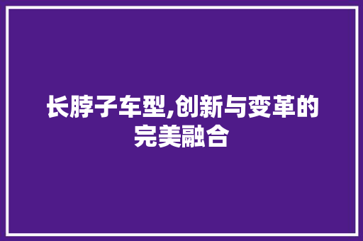 长脖子车型,创新与变革的完美融合