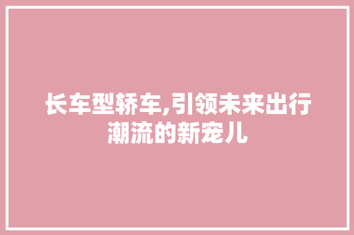 长车型轿车,引领未来出行潮流的新宠儿