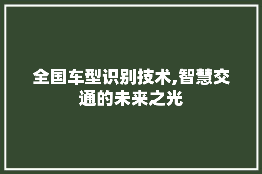 全国车型识别技术,智慧交通的未来之光