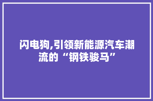 闪电狗,引领新能源汽车潮流的“钢铁骏马”