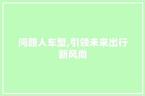 问路人车型,引领未来出行新风尚