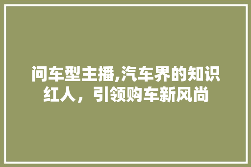问车型主播,汽车界的知识红人，引领购车新风尚