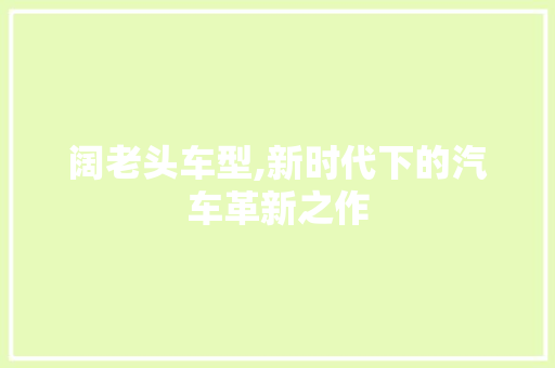 阔老头车型,新时代下的汽车革新之作