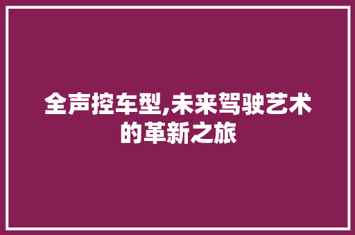 全声控车型,未来驾驶艺术的革新之旅