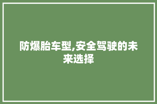防爆胎车型,安全驾驶的未来选择