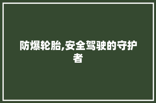 防爆轮胎,安全驾驶的守护者