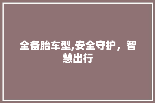 全备胎车型,安全守护，智慧出行