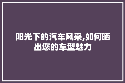阳光下的汽车风采,如何晒出您的车型魅力