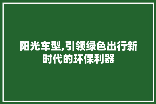 阳光车型,引领绿色出行新时代的环保利器