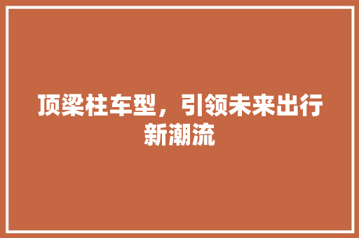 顶梁柱车型，引领未来出行新潮流