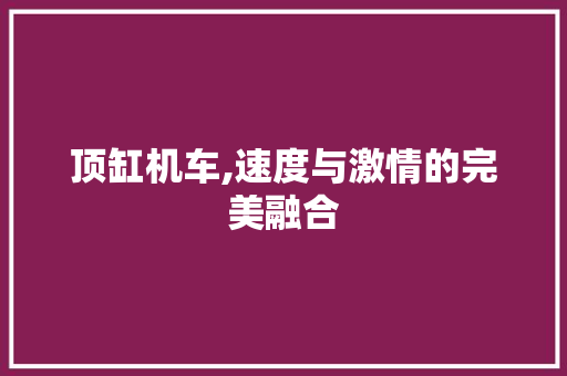 顶缸机车,速度与激情的完美融合