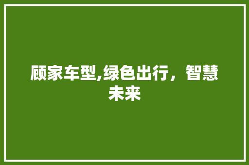 顾家车型,绿色出行，智慧未来
