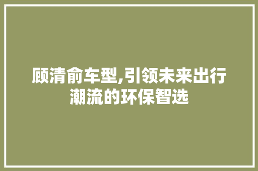 顾清俞车型,引领未来出行潮流的环保智选