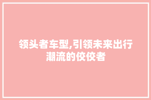 领头者车型,引领未来出行潮流的佼佼者