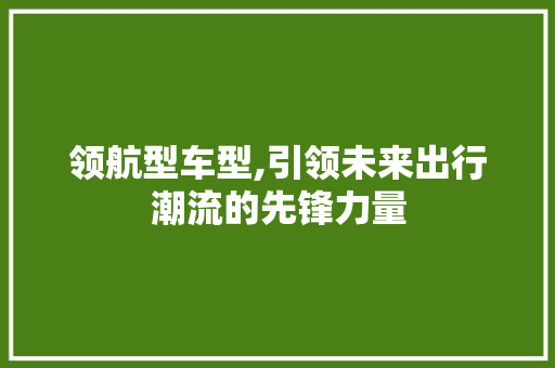 领航型车型,引领未来出行潮流的先锋力量