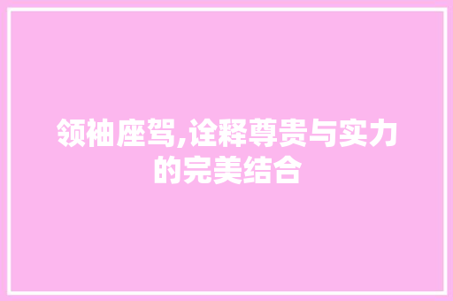 领袖座驾,诠释尊贵与实力的完美结合