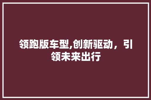 领跑版车型,创新驱动，引领未来出行