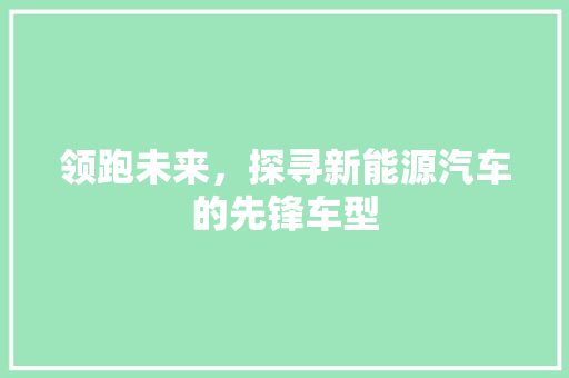 领跑未来，探寻新能源汽车的先锋车型