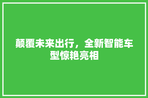 颠覆未来出行，全新智能车型惊艳亮相