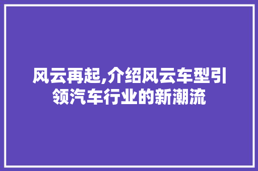 风云再起,介绍风云车型引领汽车行业的新潮流