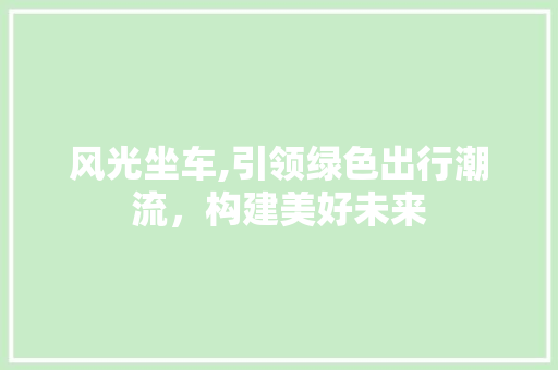 风光坐车,引领绿色出行潮流，构建美好未来