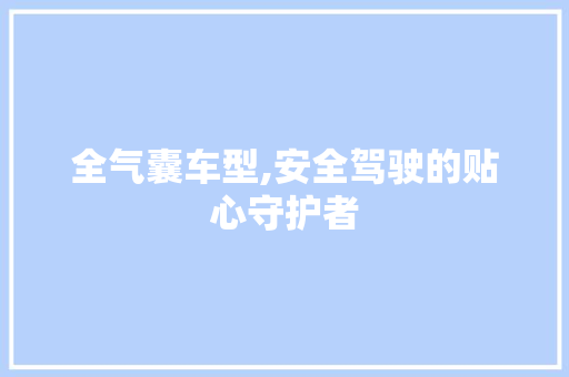 全气囊车型,安全驾驶的贴心守护者