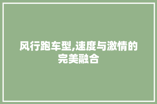 风行跑车型,速度与激情的完美融合