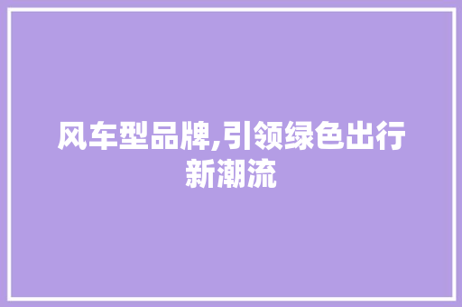 风车型品牌,引领绿色出行新潮流