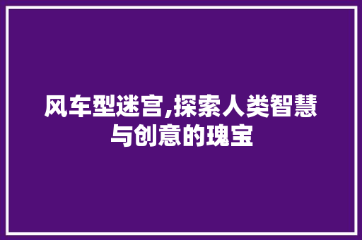 风车型迷宫,探索人类智慧与创意的瑰宝