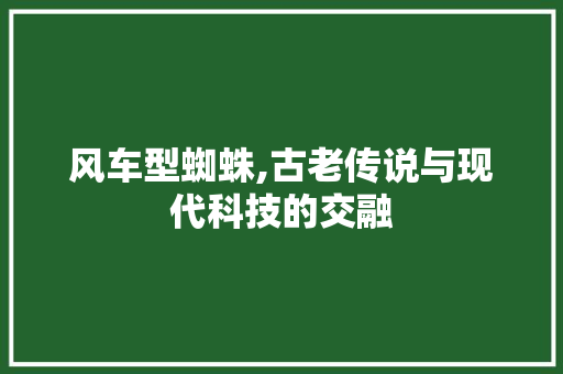 风车型蜘蛛,古老传说与现代科技的交融