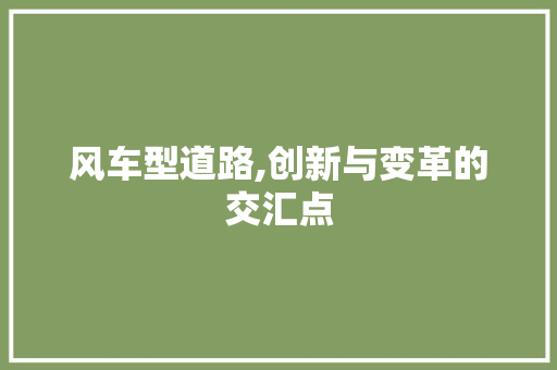 风车型道路,创新与变革的交汇点