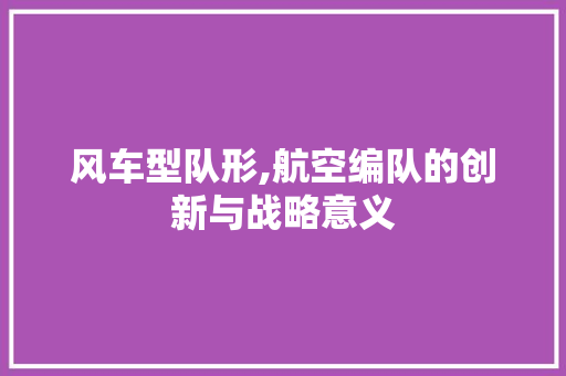 风车型队形,航空编队的创新与战略意义
