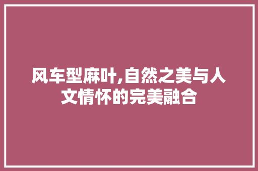 风车型麻叶,自然之美与人文情怀的完美融合