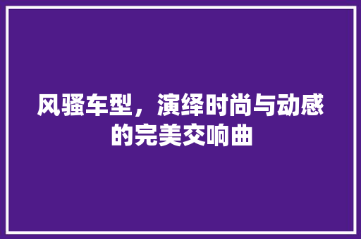 风骚车型，演绎时尚与动感的完美交响曲