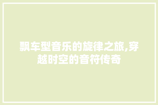 飘车型音乐的旋律之旅,穿越时空的音符传奇
