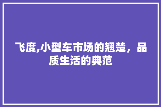 飞度,小型车市场的翘楚，品质生活的典范