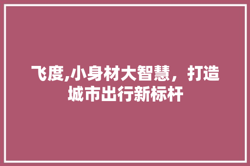 飞度,小身材大智慧，打造城市出行新标杆