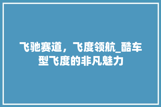 飞驰赛道，飞度领航_酷车型飞度的非凡魅力