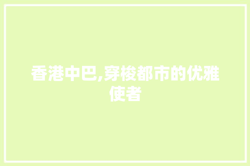 香港中巴,穿梭都市的优雅使者