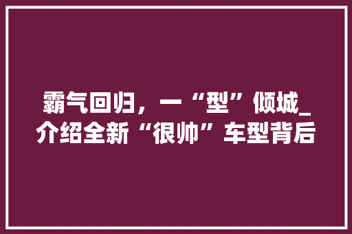 霸气回归，一“型”倾城_介绍全新“很帅”车型背后的设计哲学