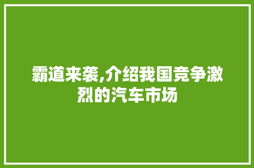霸道来袭,介绍我国竞争激烈的汽车市场