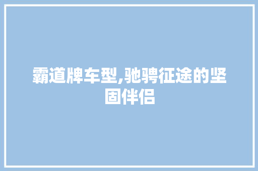 霸道牌车型,驰骋征途的坚固伴侣