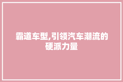 霸道车型,引领汽车潮流的硬派力量