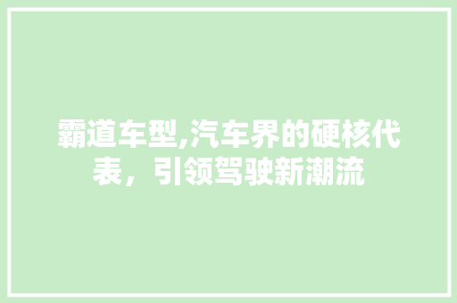 霸道车型,汽车界的硬核代表，引领驾驶新潮流
